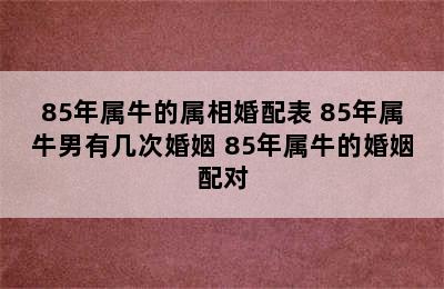 85年属牛的属相婚配表 85年属牛男有几次婚姻 85年属牛的婚姻配对